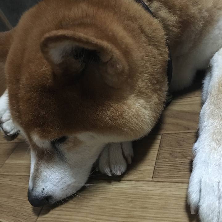 623a623d 6356 496e 982a bc829c2f15fb