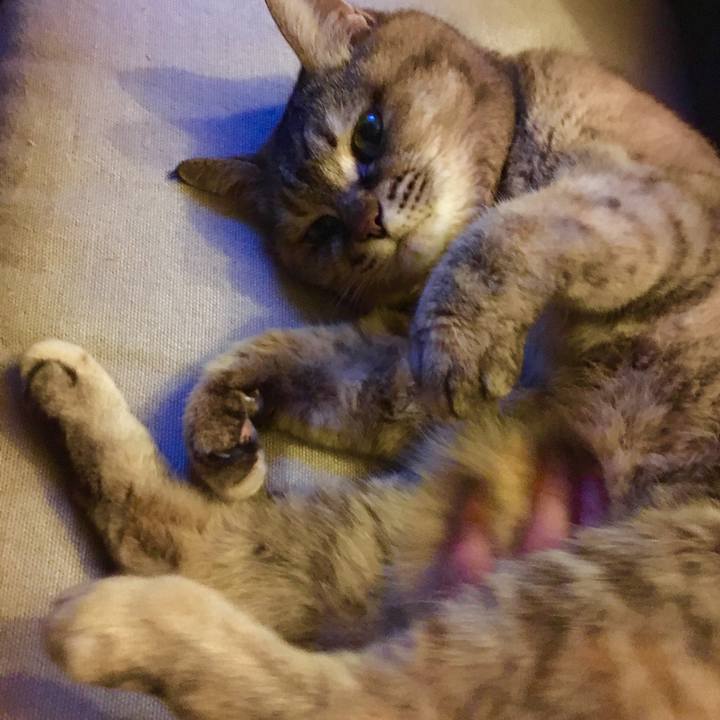 623b1269 6176 4ff3 911b e5de82de4c2a