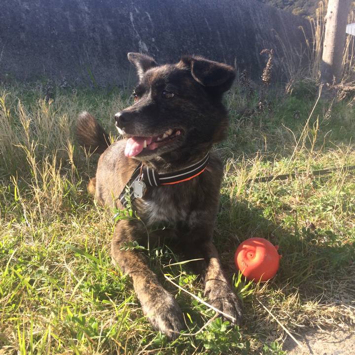 623b25e7 069d 4fb8 826f d1abc22750c8