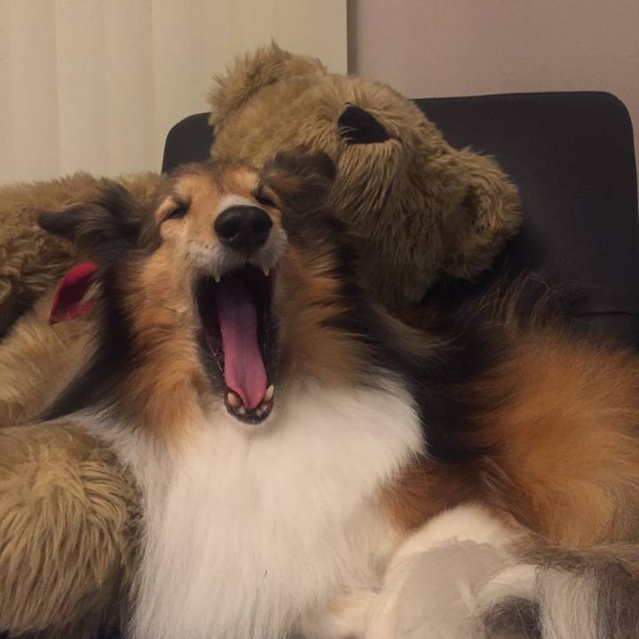 623b8a49 d339 4dd3 9d76 1c092dff4991