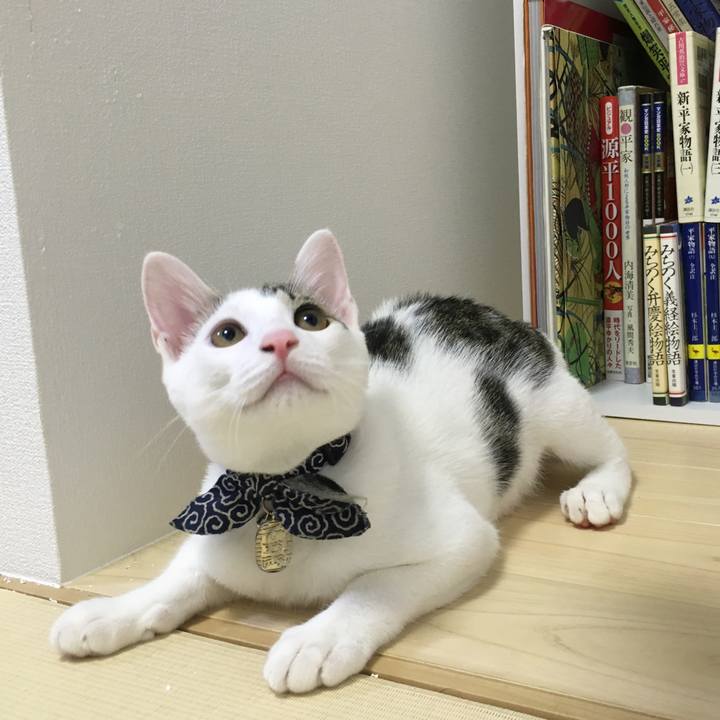 623c1522 9402 41f5 8c9f 9d884633b8dd