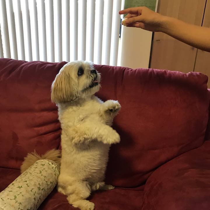 623c70ab 572b 427c 8663 28a41b516ac8