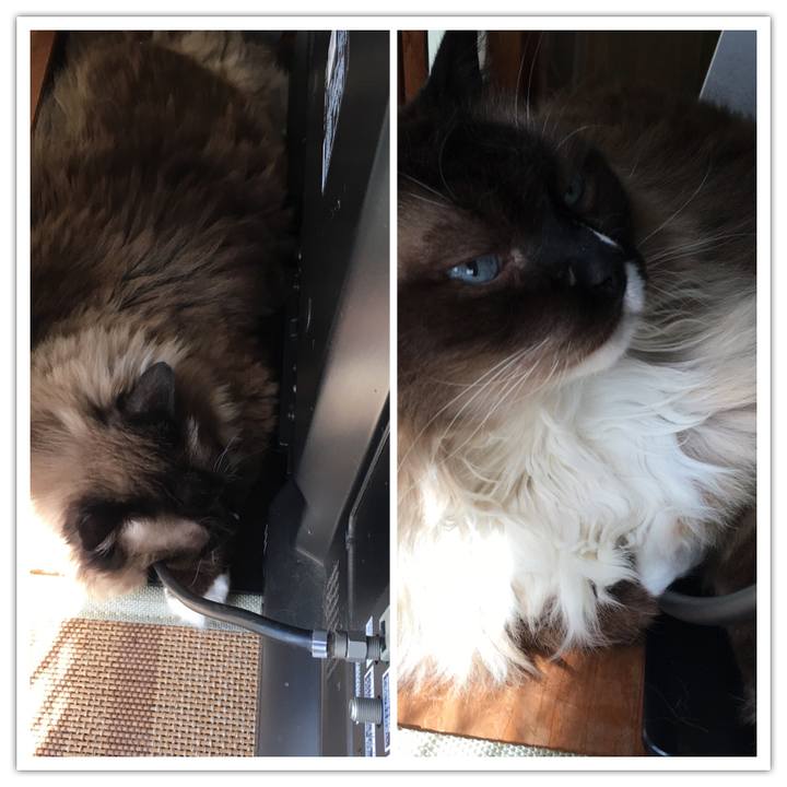 623c8483 c66f 4c26 8d45 a734bfbea917