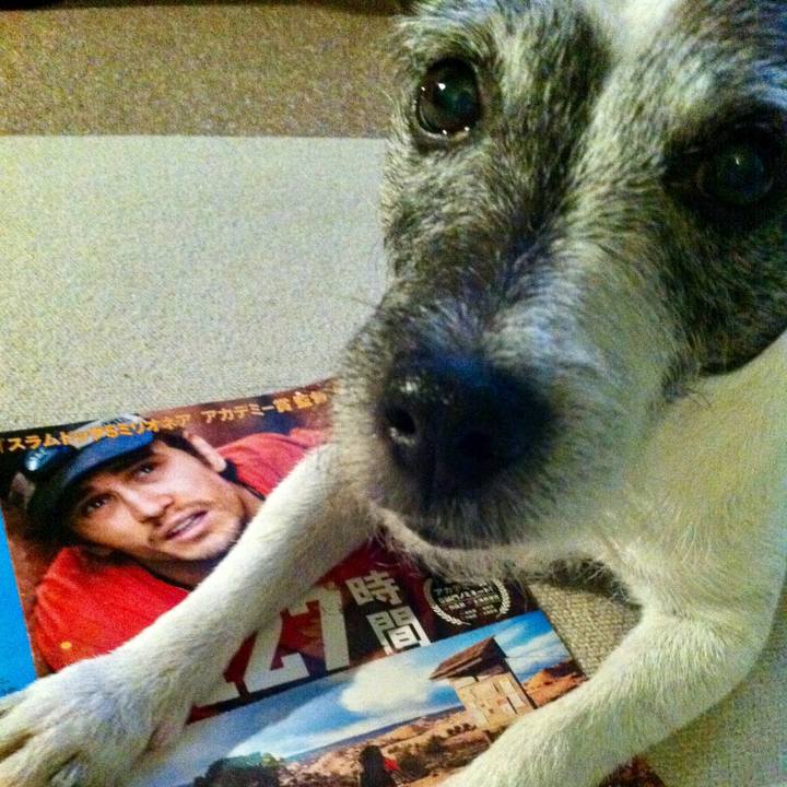 623cea37 76e9 4c99 9544 f0b0dc61550b