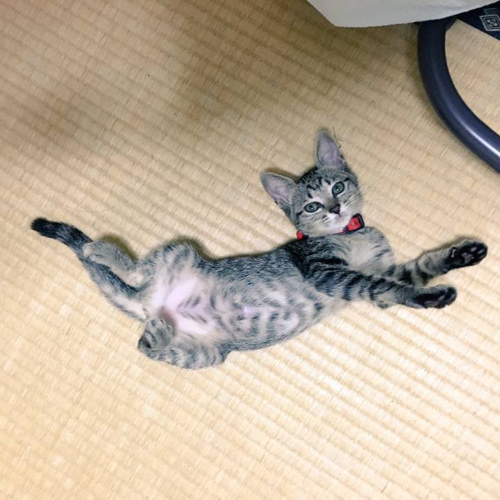 623cefd0 2b60 4aa5 86b9 649a9d1ce193