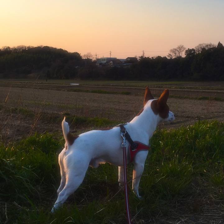 623d7251 598b 49f4 a1a8 2b7e7d5137ba