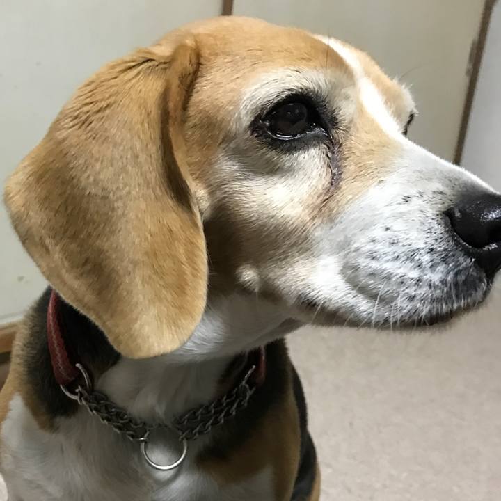 623e5533 e8e9 4b27 9bbd 931e869516b1