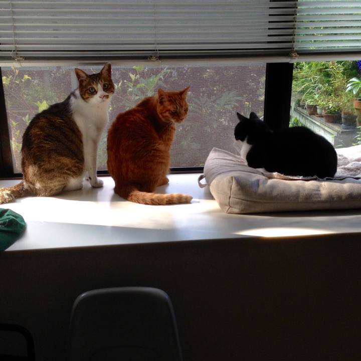 623eb1ab b1ba 4ab7 a1ab 1e5b5c52915b