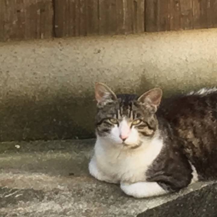 623f1908 cb6a 45d0 9e22 9943d6836bdd