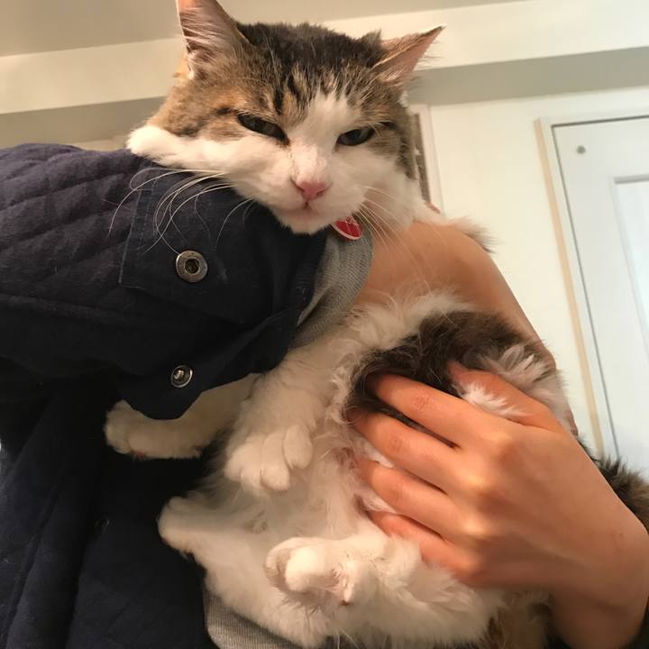 623fa419 40ed 40dc a5a6 4c8e08b1aba3