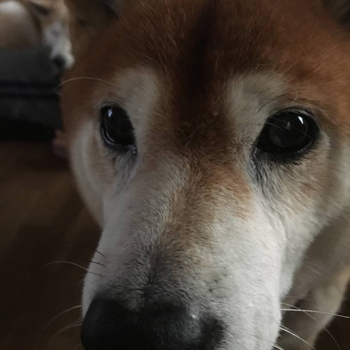 623fe377 ba03 49c8 aaf8 861305c16a50