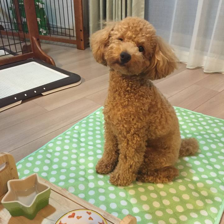 62410acf a822 4cda a2a8 40d73f818fc5