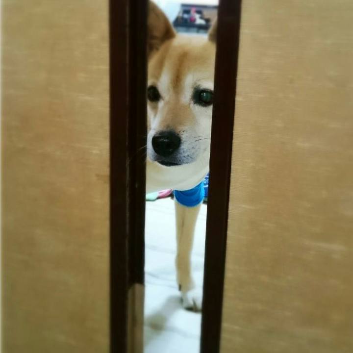 62418b23 574c 4d40 8d11 ae61f6f66c47