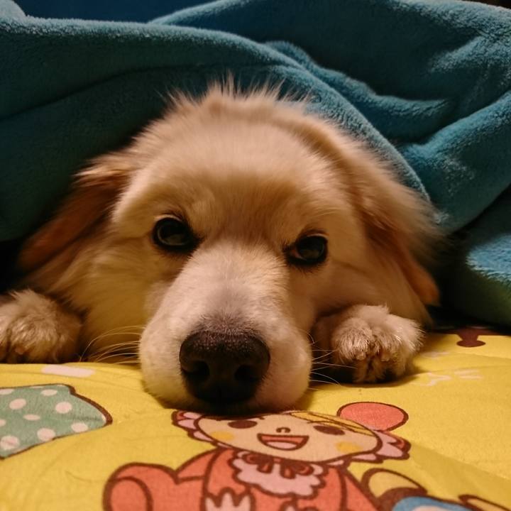 6242c702 0816 412a 8fac 239dff9fbb5d