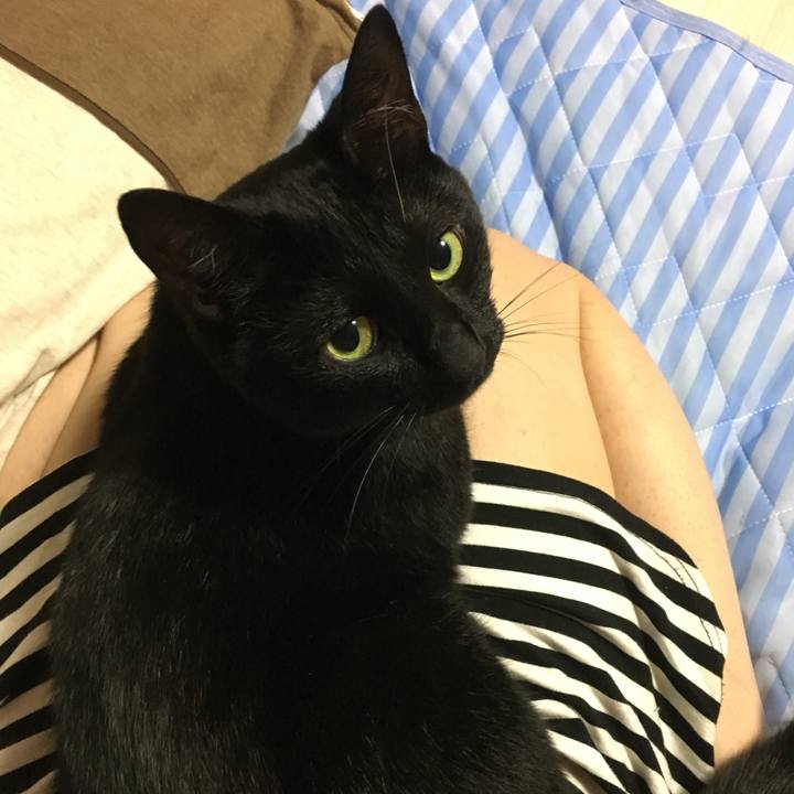 6242e08e 3330 4bc3 a9bd 5db31b684665