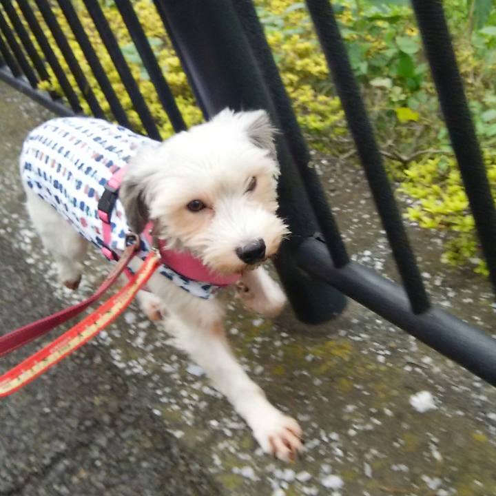 62430ac8 1711 4b86 a6be b0bb6a24b61a