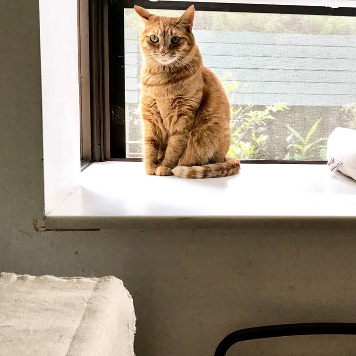 62435597 3dfb 438d b27c 2aedd9a7b296