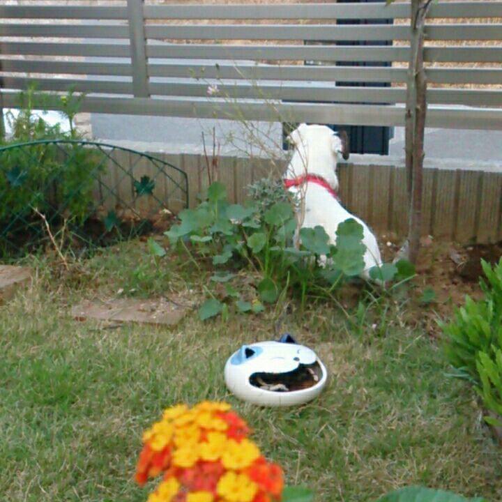 624362f1 ca66 4dcb a7f8 db3d5ac4c8e6