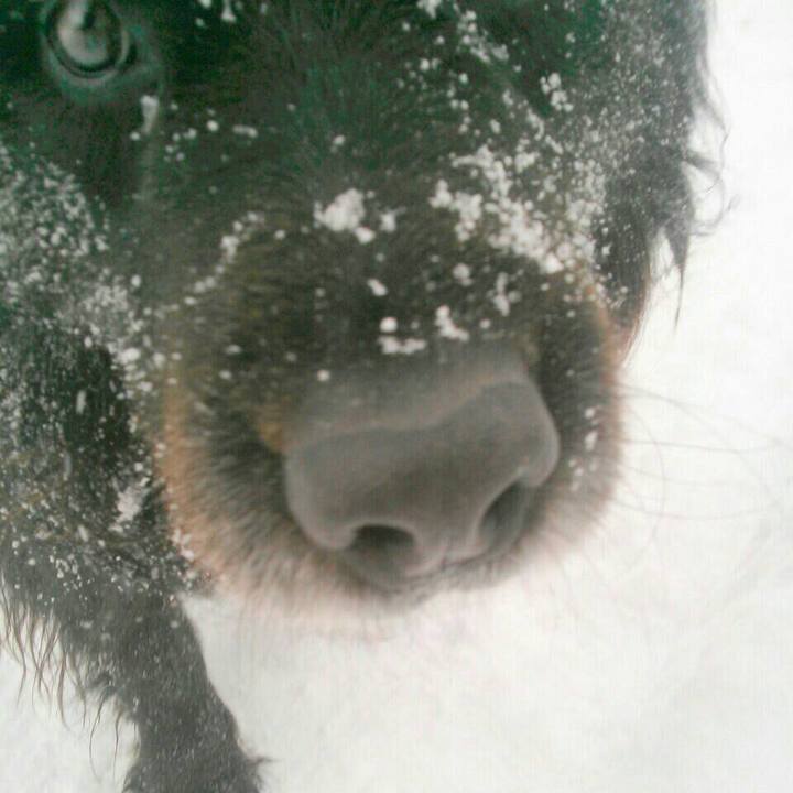 624365df 1637 4fbb 9bc1 d8633d0a6f17