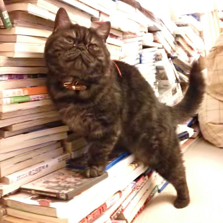 624404ed 8ad7 49bc 8f54 23200155a6cb