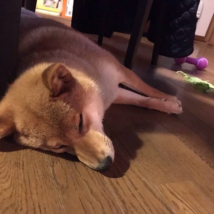 624446b7 57bf 4046 9d52 9288c209c47d