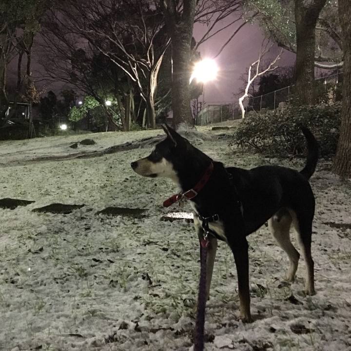 62449757 7436 43c7 a8f5 376af18d760c