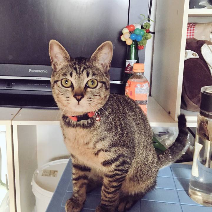 6244ea4d 79bc 4497 b735 bd4c942bc7a4