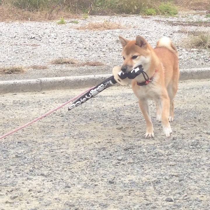 624519f8 b1a9 4bec a375 8636ba2780a7