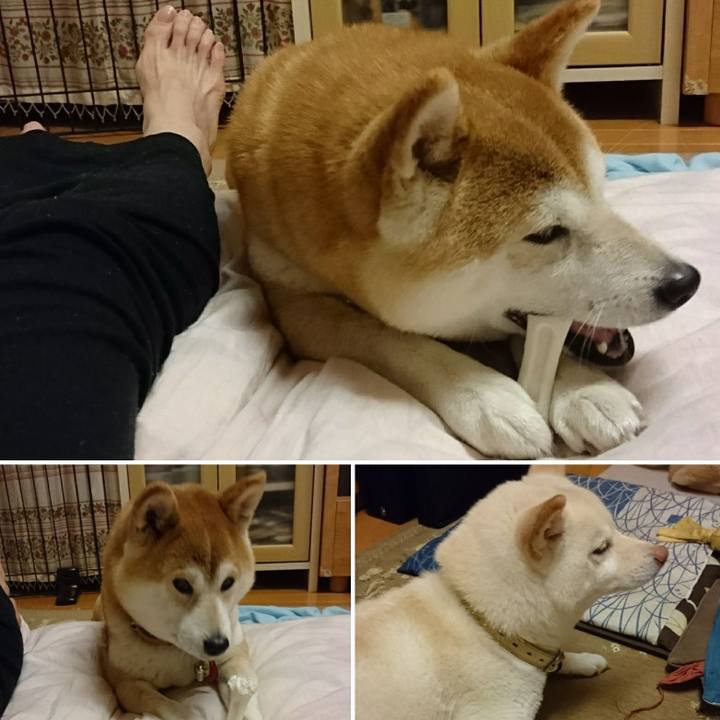 6245af7a 8da2 4a1a b4d7 53b9f27e20af