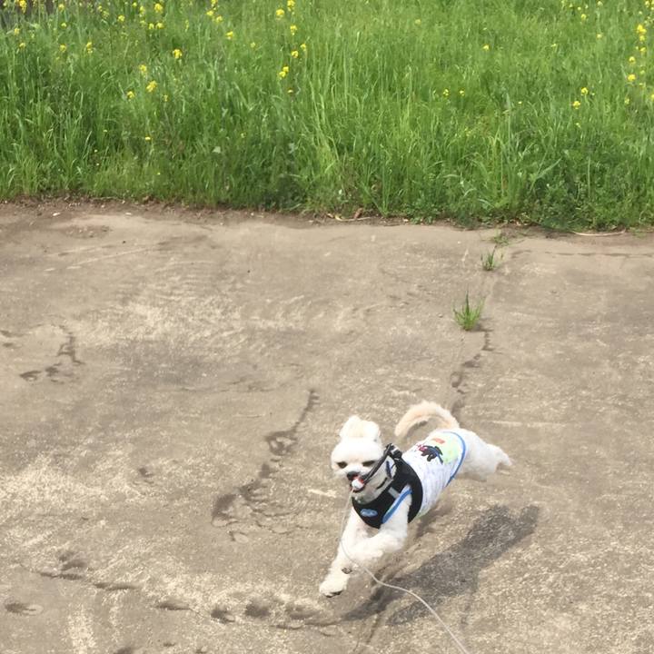 6245fc0e 6f94 4b24 9a1b 3acc5f192d04