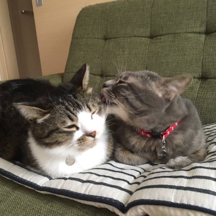 62468b8d fb63 46ae af65 94113dbcdb9c