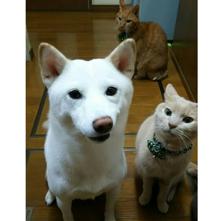 6246f1f5 c5ae 4987 8a94 734c165fc107