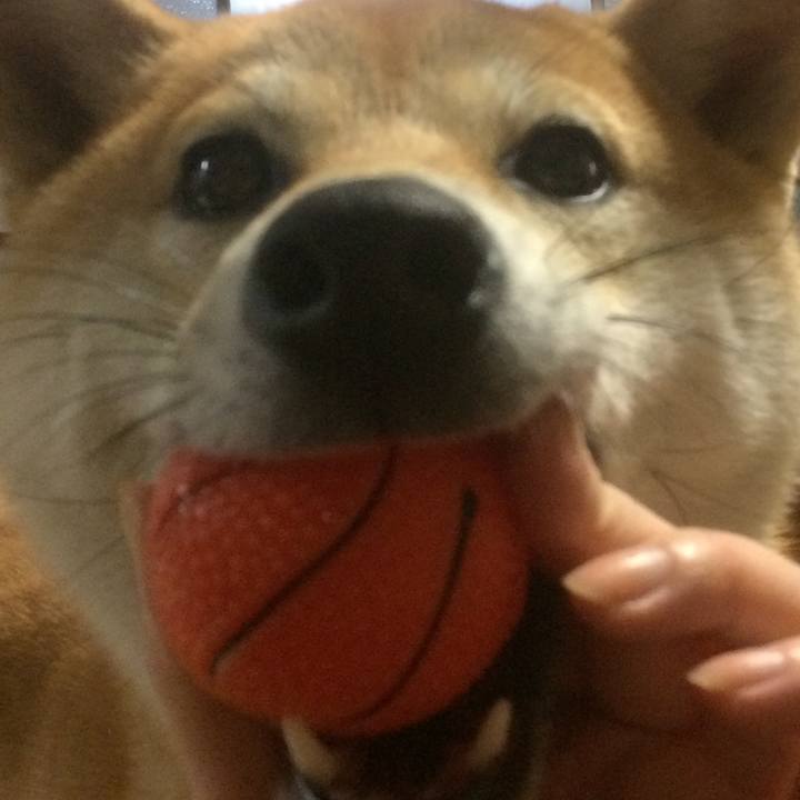 62472a07 6f39 40d0 aaf9 b379d23ae99f