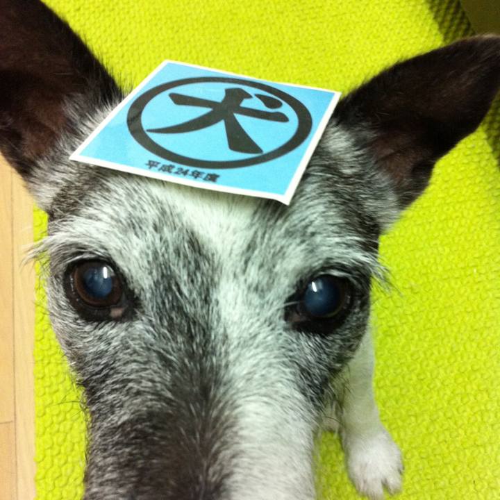 624733b5 1b1c 47b8 b982 32a33d318bba