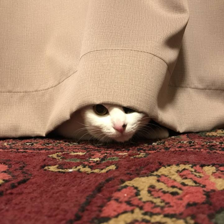 624745d3 9f50 4ac6 9b4c b12904831aa1