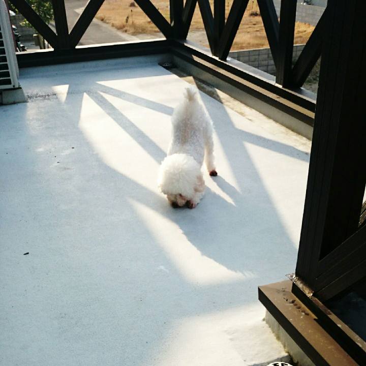 62479ea0 c0ba 47ae ac27 4c1f04e02004