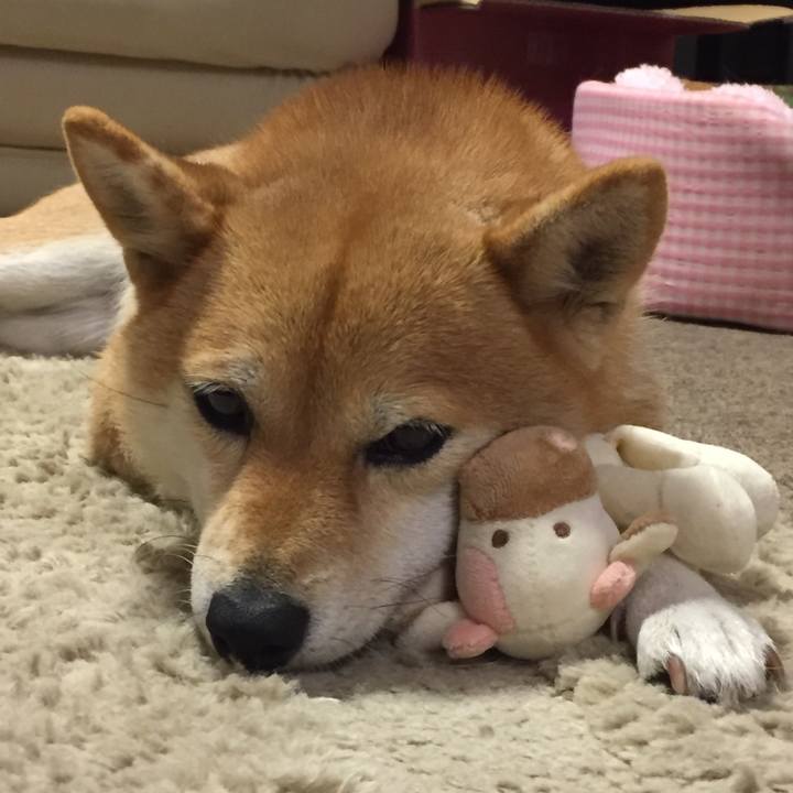 62487299 58f4 401a b227 c5f8fc913260