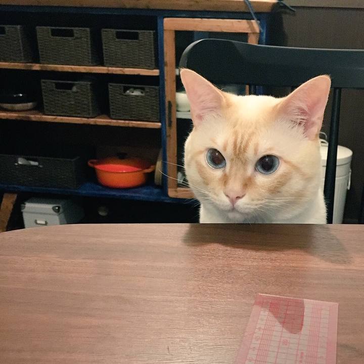 62489345 2ed6 47a5 afe7 ec41b36d902c