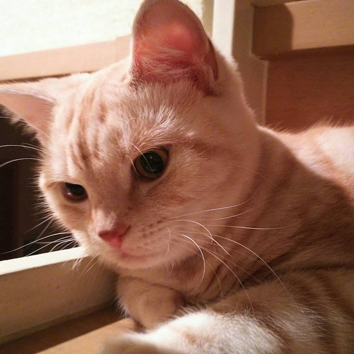 6248afc2 d56c 4490 a686 f80c136e9170