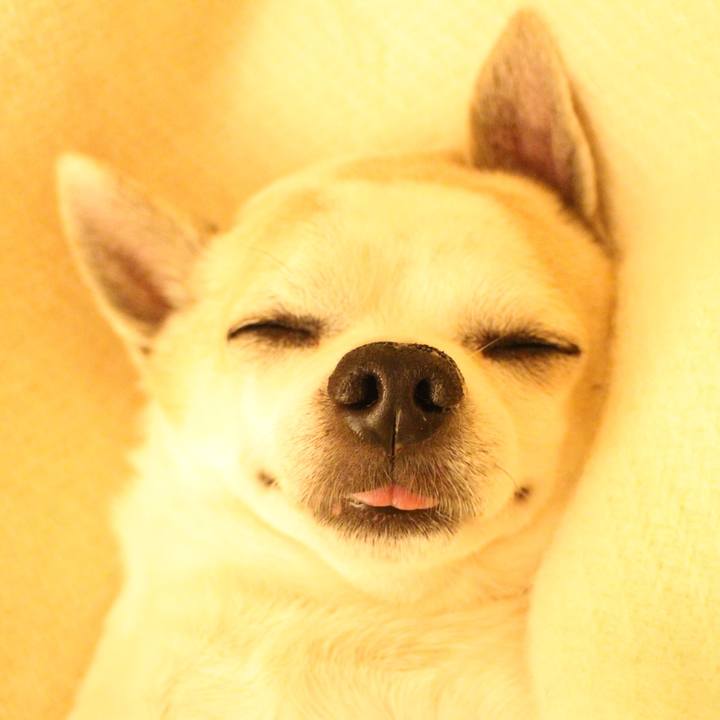 6248c20c 844f 4711 91f9 7f5e5afae436