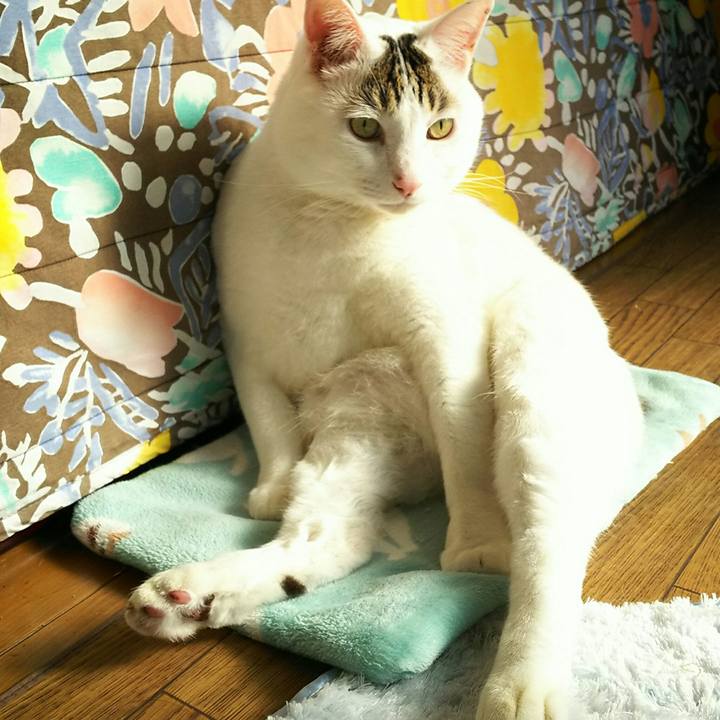 6248d495 f31f 40a6 95f4 f1b10bed23c2