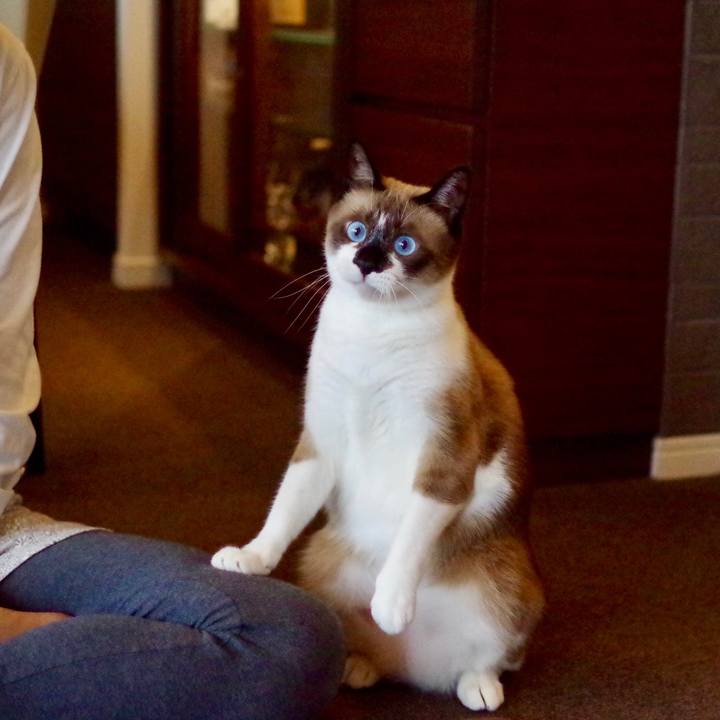 624a0bd3 17d6 431c 8d13 e60f22c7c6b5