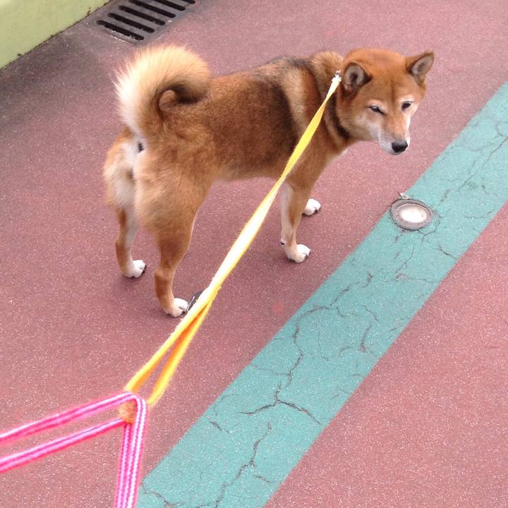 624a524a f6e0 4174 aeb4 28af5121b5f3