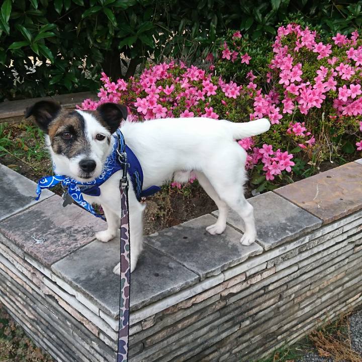 624a6511 52f4 4776 8cd8 ed8a8c265055