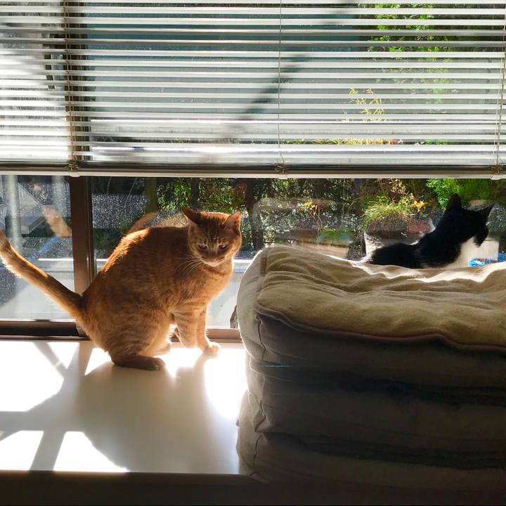 624b585d e2e5 4602 80f3 0b114d9bcd0d