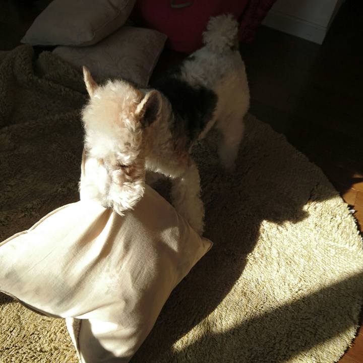 624b630e 9473 41df a333 bf5e7fd8741d