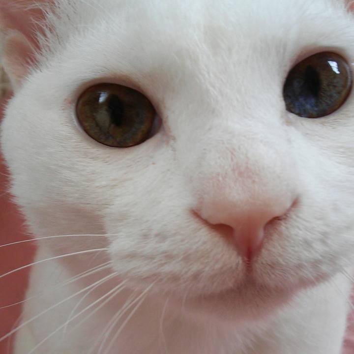 624b82c1 ed58 492f 84a8 73df1c7d6f86