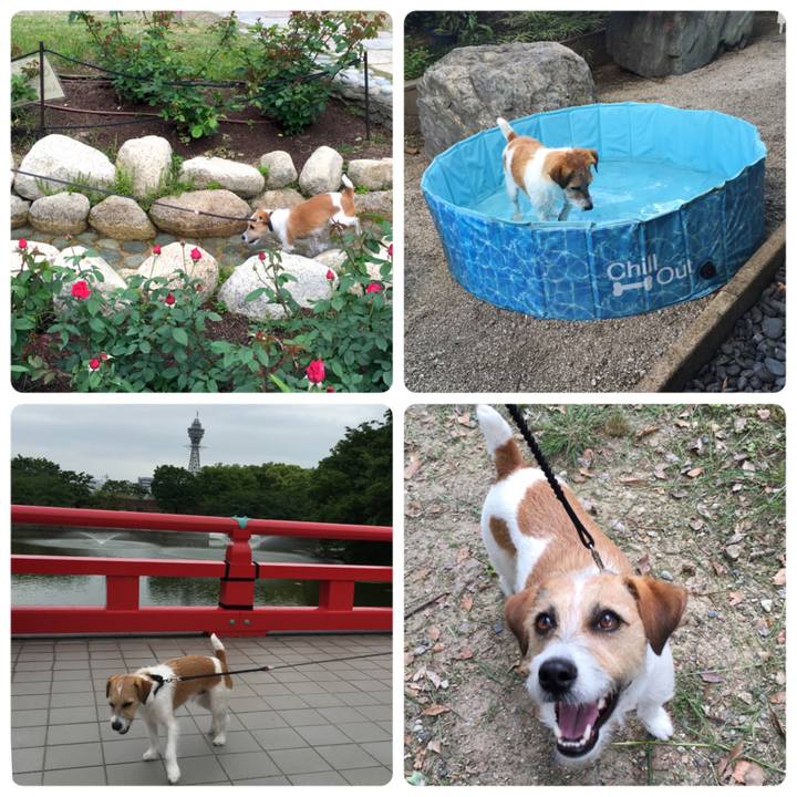 624b92a8 b01e 4f54 9fef 26eef80905de