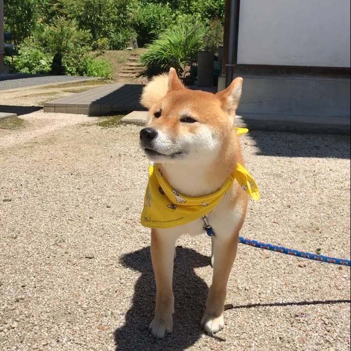 624ba45d 340e 4efc 9837 b8ed26488650