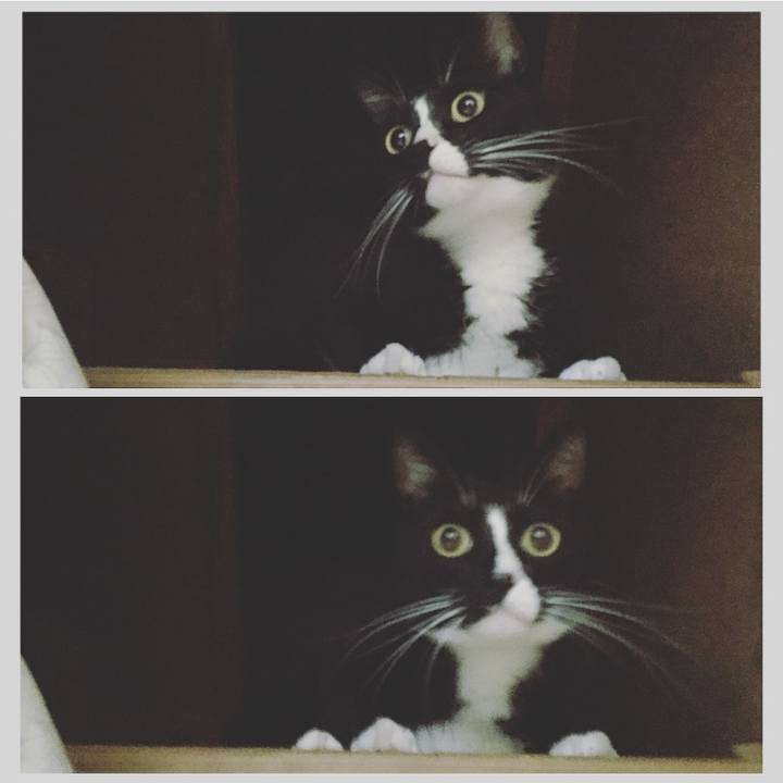 624bf3e4 6bfb 4b73 bfe8 97b26d4ce36b